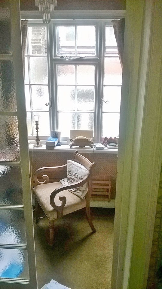 13087566_10156820382485223_6916949112683600673_n