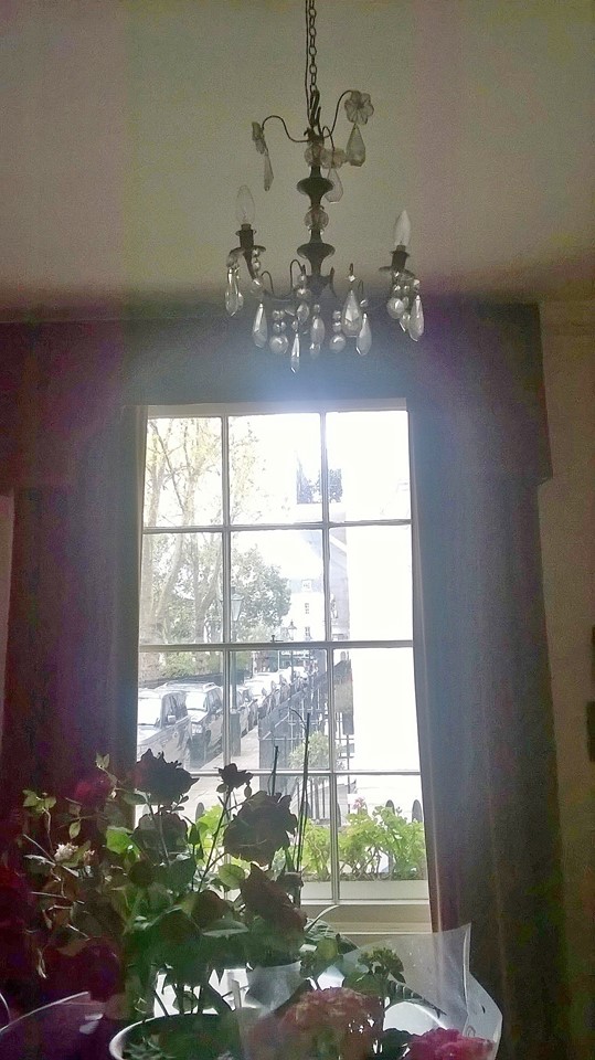 13094329_10156820392510223_7619779144165200379_n (1)