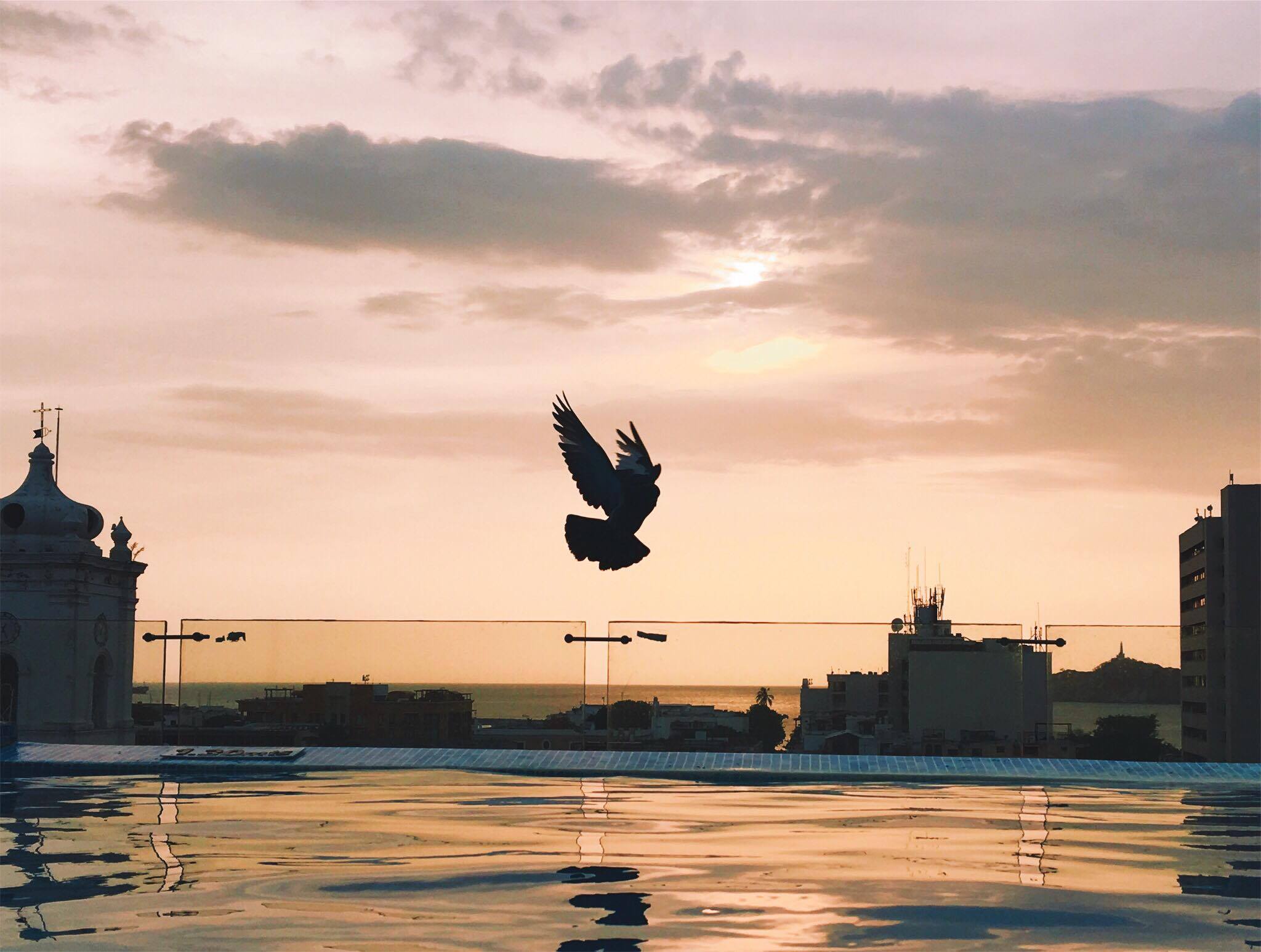 19369121_10154544957921587_1949090650_o (1).jpg