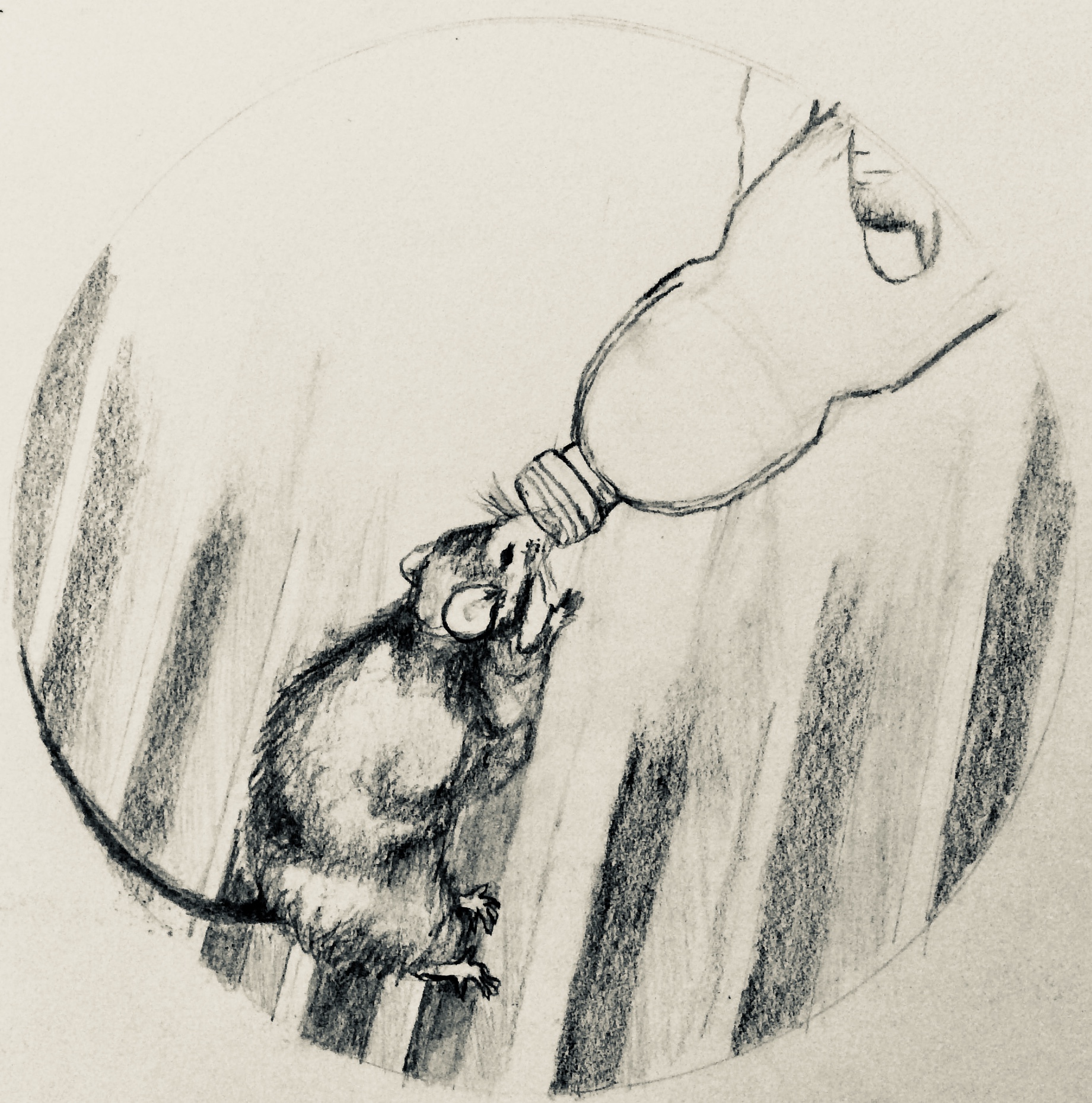 D86729AE-C536-4A6B-B49D-80BA995E410B