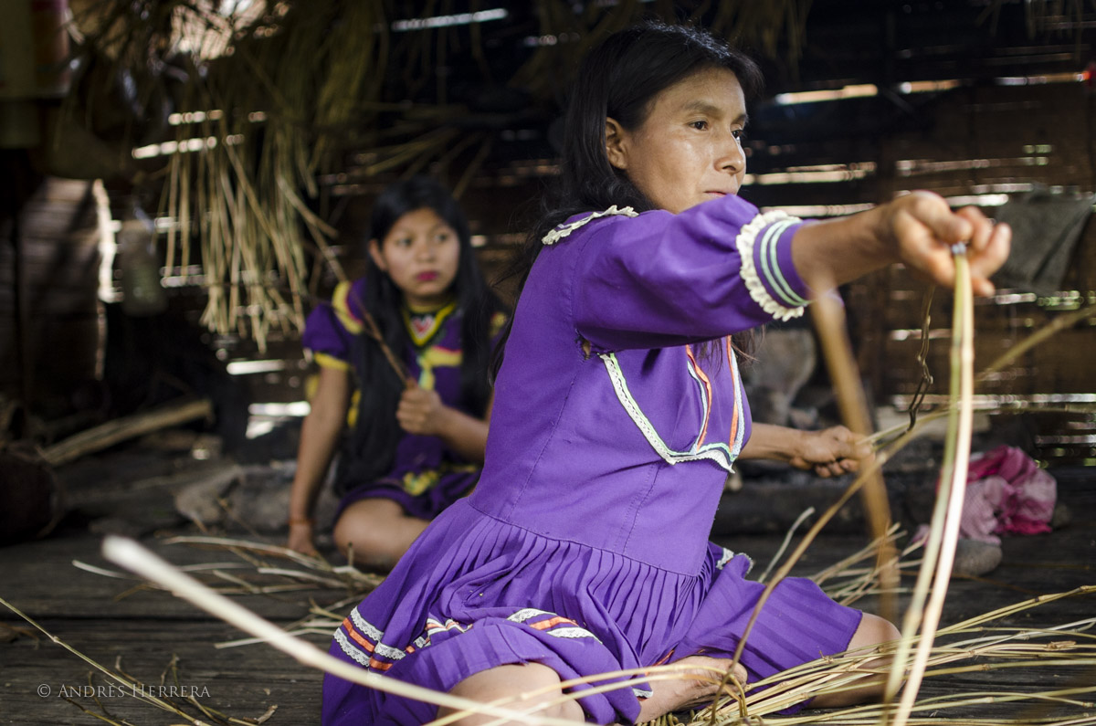 34926642500_b9780e42e5_o