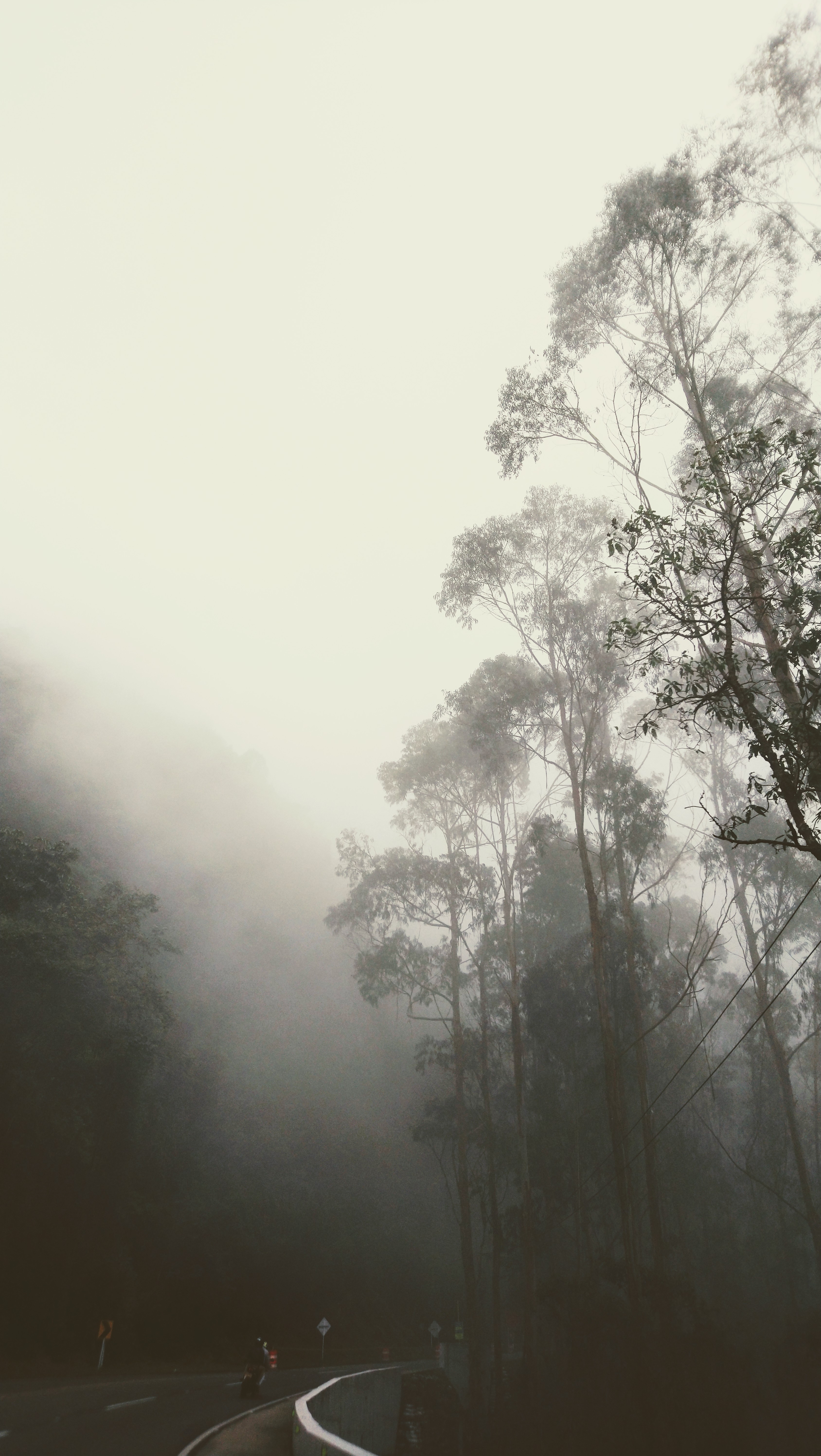 35,35,152,166.027771