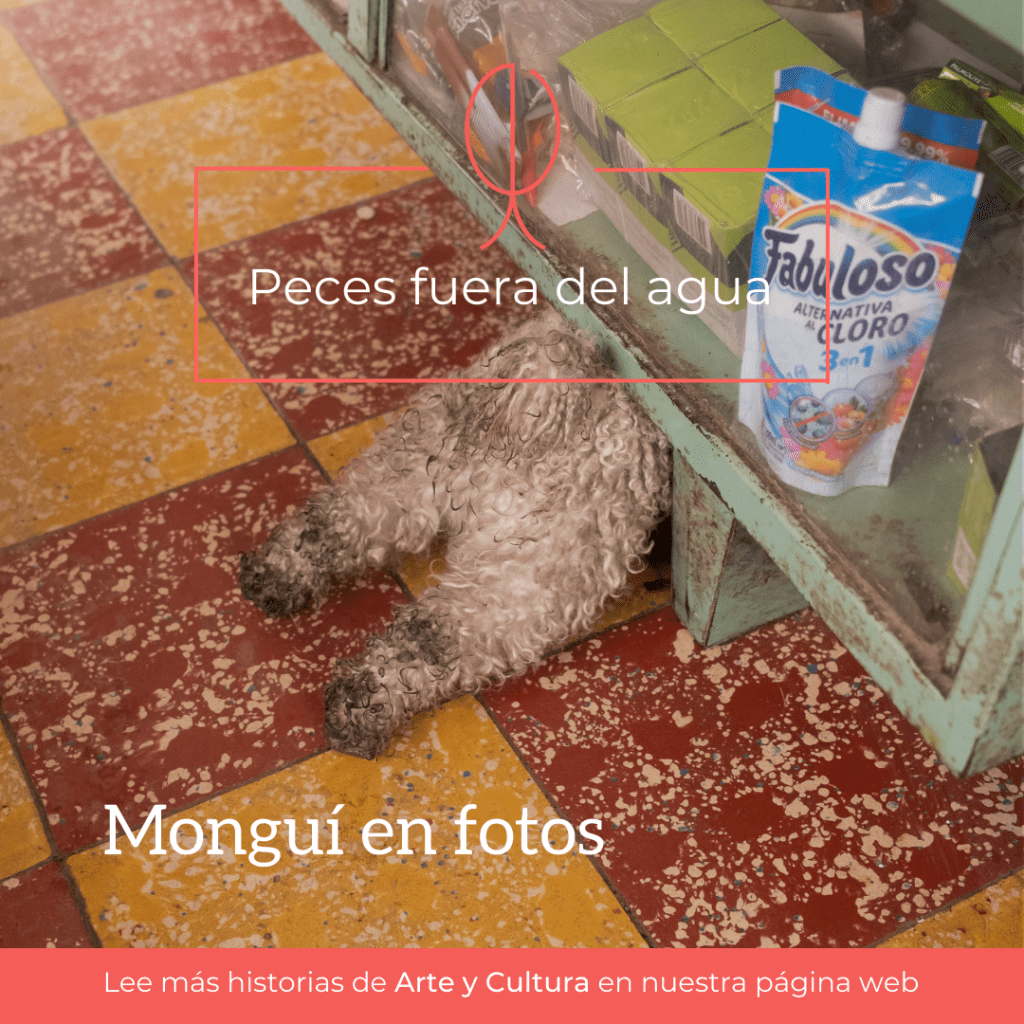 Memoria de nuestro taller&nbsp;fotográfico