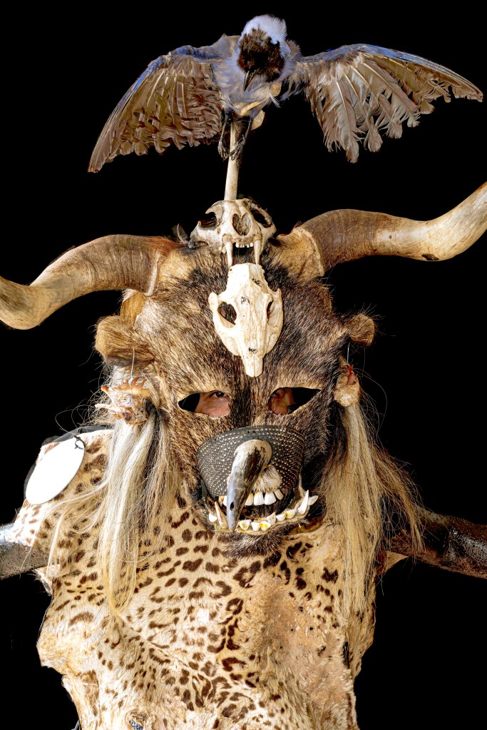 Pieles de animales, plumas, aves disecadas, dientes de animales y 
Muchos elementos encontrados en el campo, hacen parte del diseño de la máscara Cachacera
