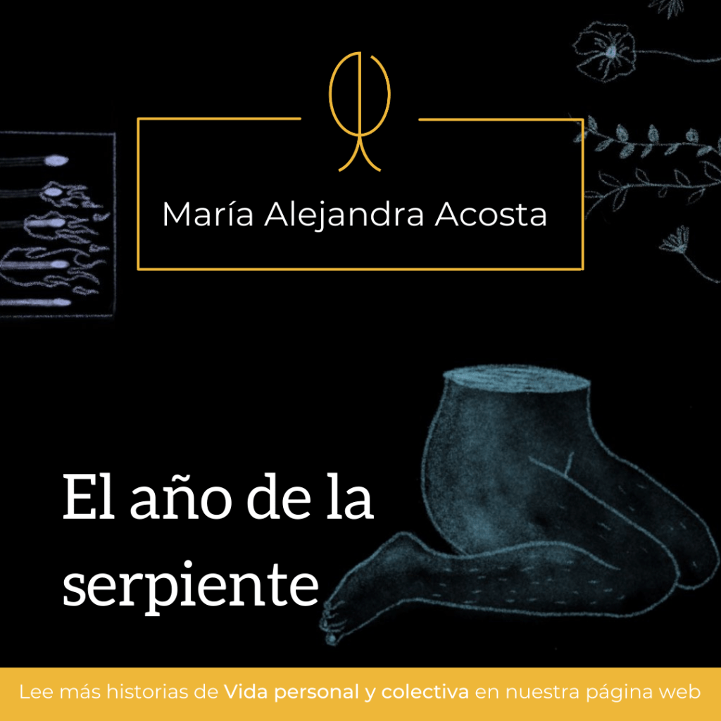 El año de la&nbsp;serpiente